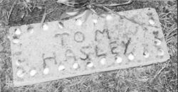 Tom Hasley 