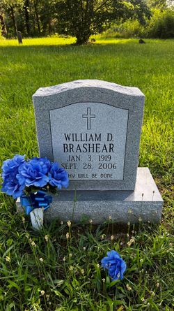 William D Brashear 