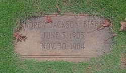 Andrew Jackson Bishop 