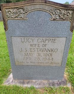 Lucy Cappie <I>Chambers</I> Estavanko 