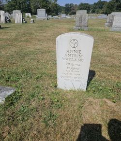 Annie Antrim Wayland 