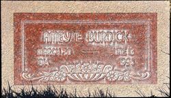 Amey E. Burdick 