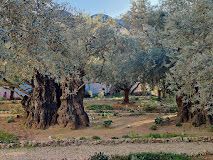 Garden of Gethsemane Greek Orthodox Cemetery