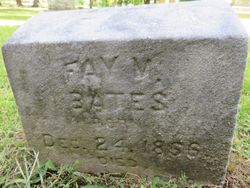 Fay M Bates 
