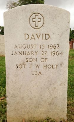David Holt 