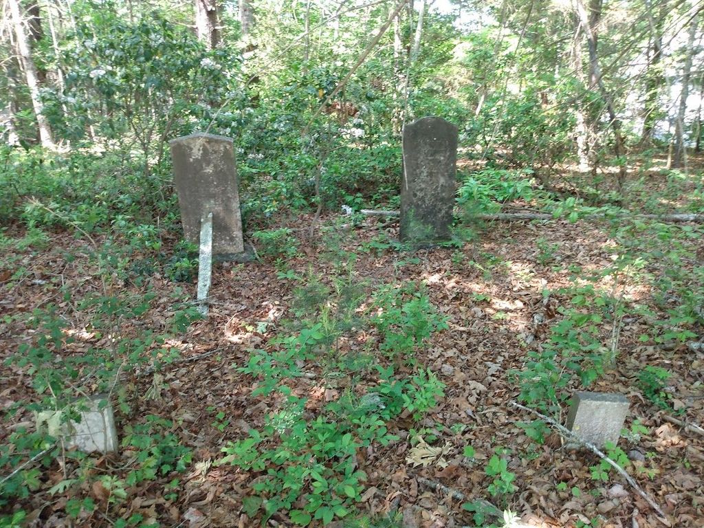 Alexander Family Cemetery #2