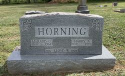 Harry Austin Horning 