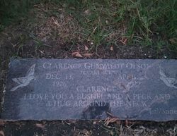 Clarence Gunvauldt Olson Jr.