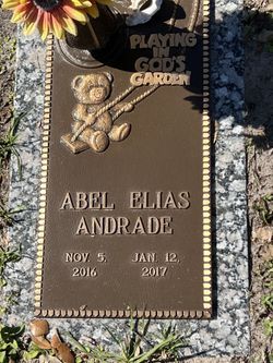 Abel Elias Andrade 