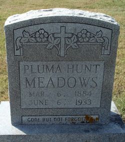 Pluma <I>Hunt</I> Meadows 