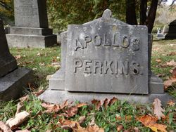 Apollos Perkins 