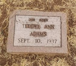 Teddye Ann Adams 