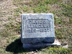 David O. Klingler 