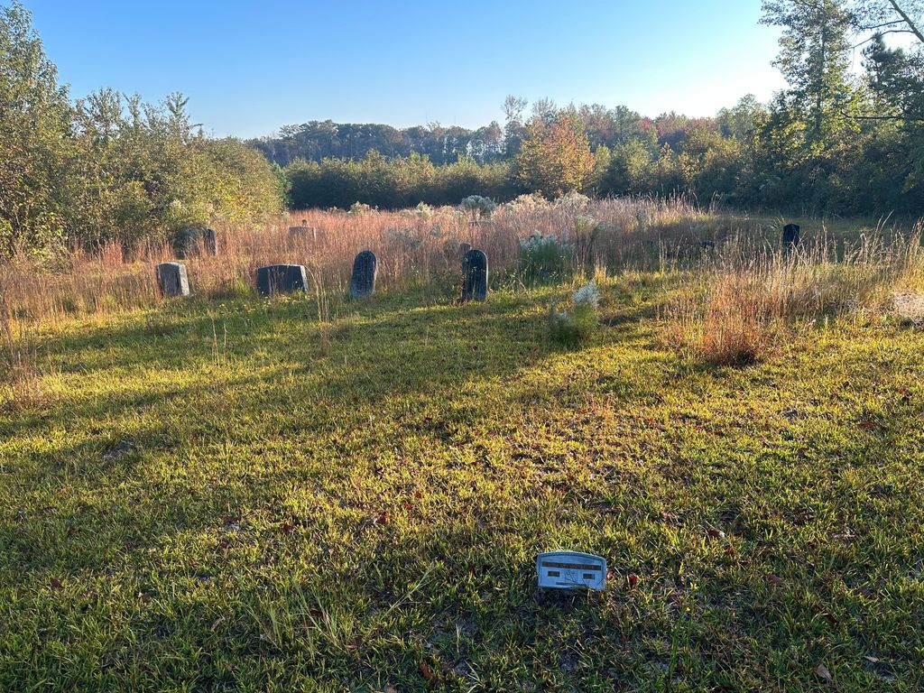Lane Cemetery #1
