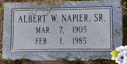Albert Wilson Napier Sr.