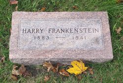 Harry Frankenstein 