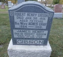 Robert Henry Gibson 