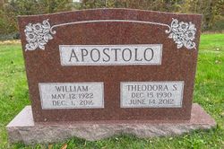 Theodora S Apostolo 