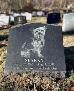 Sparky The Dog 