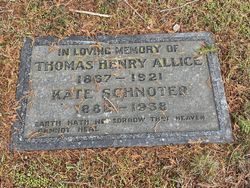 Thomas Henry Allice 