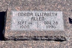 Norma E. <I>Robinson</I> Allen 