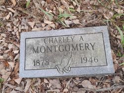 Charles Albert Montgomery 