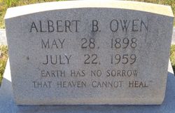 Albert B Owen 