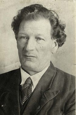 Hendrik Salomon Aalsvel 