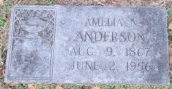 Amelia Matilda <I>Nordhoff</I> Anderson 