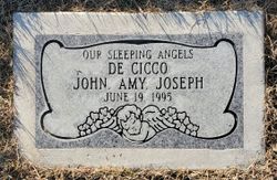 Amy DeCicco 