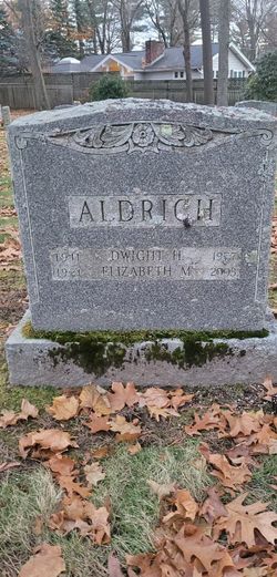 Elizabeth M Aldrich 