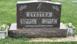 Viola Stella <I>Puffer</I> Svestka 