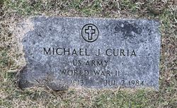 Michael J Curia 
