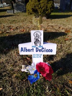 Albert A DeCicco 