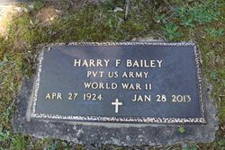 Harry F Bailey 