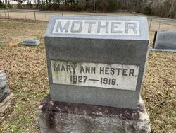 Mary Ann <I>Price</I> Hester 