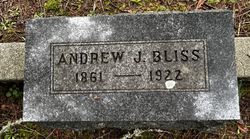Andrew Jackson Bliss 