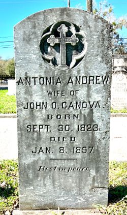 Antonia <I>Andrew</I> Canova 
