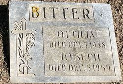 Ottilia K “Tillie” <I>Kutsch</I> Bitter 