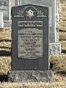 Lilly <I>Cohen</I> Adelson Krause 