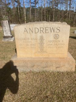 Addison F Andrews 