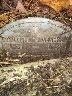 William T Adams 