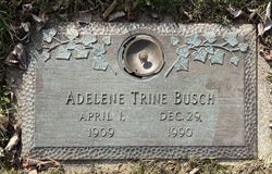 Adelene <I>DiSalvo</I> Trine Busch 