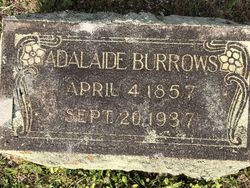 William Adalaide “Addie” <I>Box</I> Burrows 