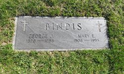 George J. Bindis 
