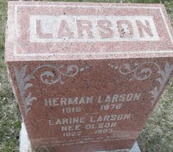 Herman Larson 