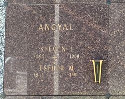 Steven L Angyal 