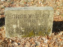 George Wesley Johnson 