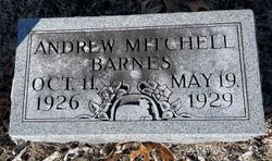 Andrew Mitchell Barnes 
