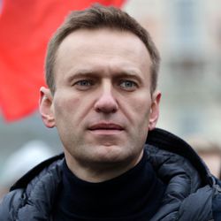 Alexei Anatolievich Navalny 